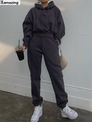 Hoodies Suit Winter Spring Solid Casual Tracksuit Women Fleece 2